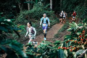 BIB: 
                            <button type="button" onclick="openModal(25834116)" class="btn btn-primary btn-sm float-right btn-popup" data-toggle="modal" data-target=".modal-high-quality">
                        <i class="fas fa-shopping-cart"></i> Add to Cart
                    </button>
                                            <button type="button" onclick="isThisMe(25834116, true)" class="btn btn-success btn-sm float-right btn-popup btn-isme hidden" data-toggle="tooltip" data-placement="bottom" title="นี่คือรูปของคุณใช่ไหม คลิกที่นี่เพื่อเอาเข้าอัลบั้ม">
                        <i class="fas fa-plus"></i> Add to album
                    </button>
                    <button type="button" onclick="isThisMe(25834116, false)" class="btn btn-warning btn-sm float-right btn-popup btn-isnotme hidden">
                        <i class="fas fa-ban"></i> Remove from album
                    </button>